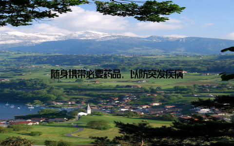 随身携带必要药品, 以防突发疾病