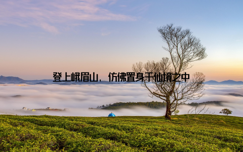 登上峨眉山, 仿佛置身于仙境之中